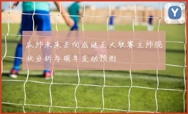 瓜帅未来去向成谜五大联赛主帅现状分析与明年变动预测
